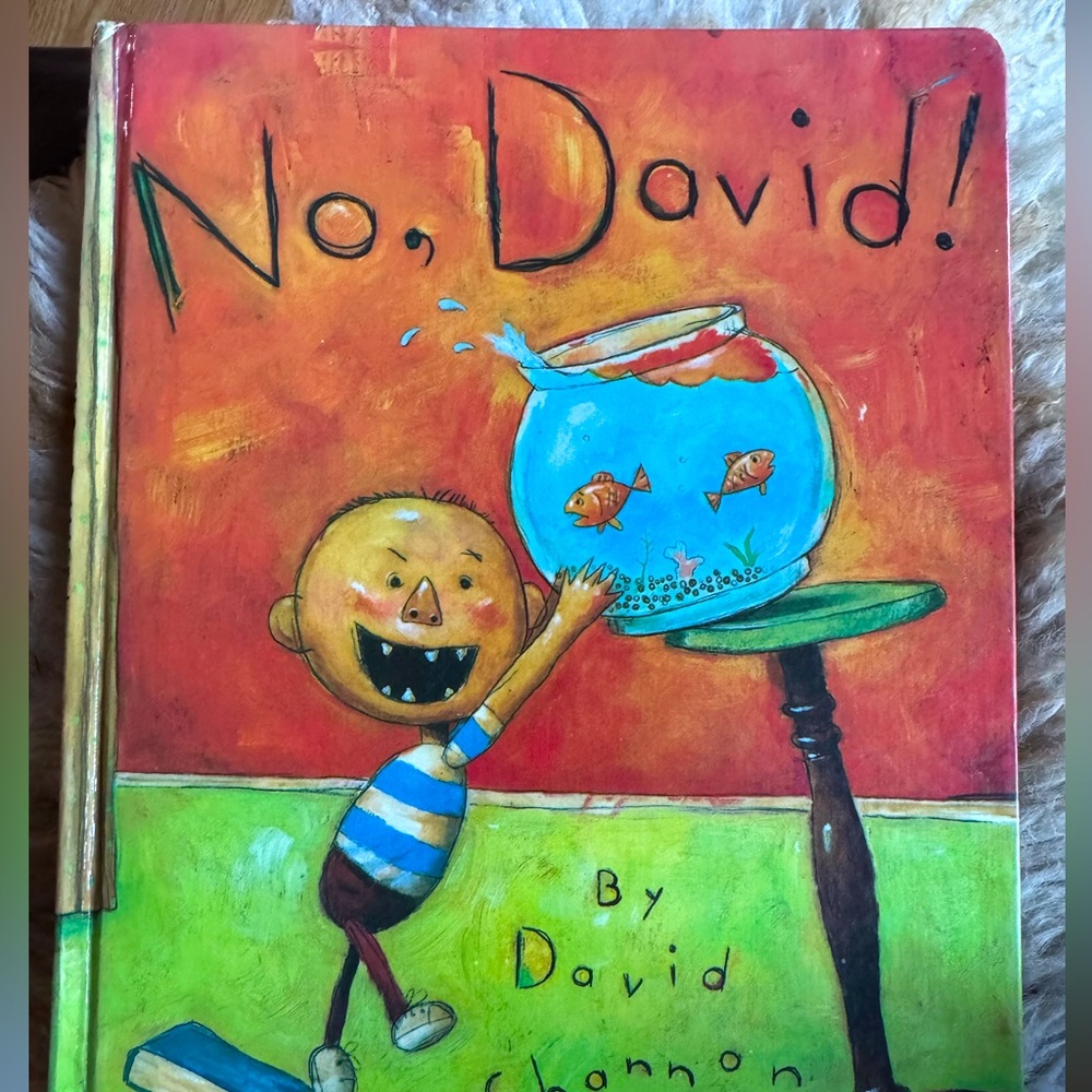 3/$20💕 NO, DAVID! book